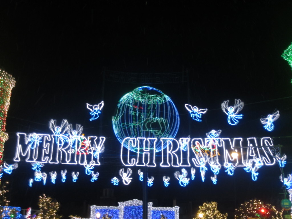 Top 5 Must Do's During Christmas at Walt Disney World - Tips from the Disney Divas and Devos