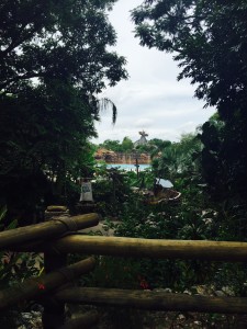 Typhoon Lagoon