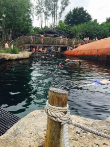 Typhoon Lagoon Shark Reef