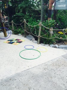 Typhoon Lagoon Hidden Mickey