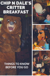 Know Before You Go- TIps for Dining at Chip N Dale's Critter Breakfast at the Storyteller's Cafe at the Grand Californian.