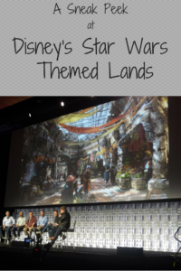 A Sneak Peek at Some Secrets of Disney’s Star Wars-Themed Lands