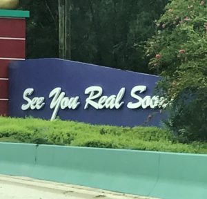 Reality Bites: When You Have To Leave Your "Disney Bubble"