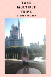 Multiple Disney World Trips