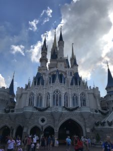 Multiple Disney World Trips