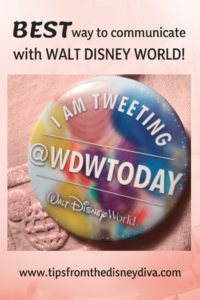 Disney World, Walt Disney World, WDWTODAY Twitter team, Twitter, Social Media, Disney World on Twitter, Twitterverse, Compliment Walt Disney World, Cast Compliment, Cast Member Compliment, Social Media Influencer, Social Media Blogger, Disney Bloggers