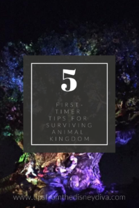 5 First Timer Tips for Surviving Animal Kingdom