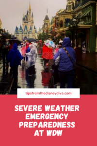 Severe weather emergency preparedness at wdw