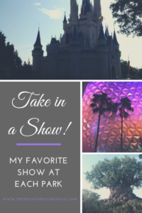 Take in a Show: My Favorite Show at Each Park - Walt Disney World Resort