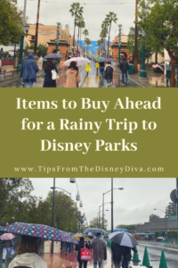 Items to Buy Ahead for a Rainy Trip to Disney Parks