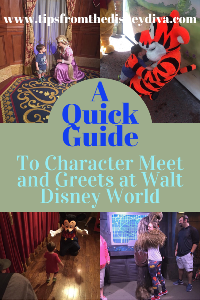 A Quick Guide To Character Meet And Greets At Walt Disney World - Tips ...