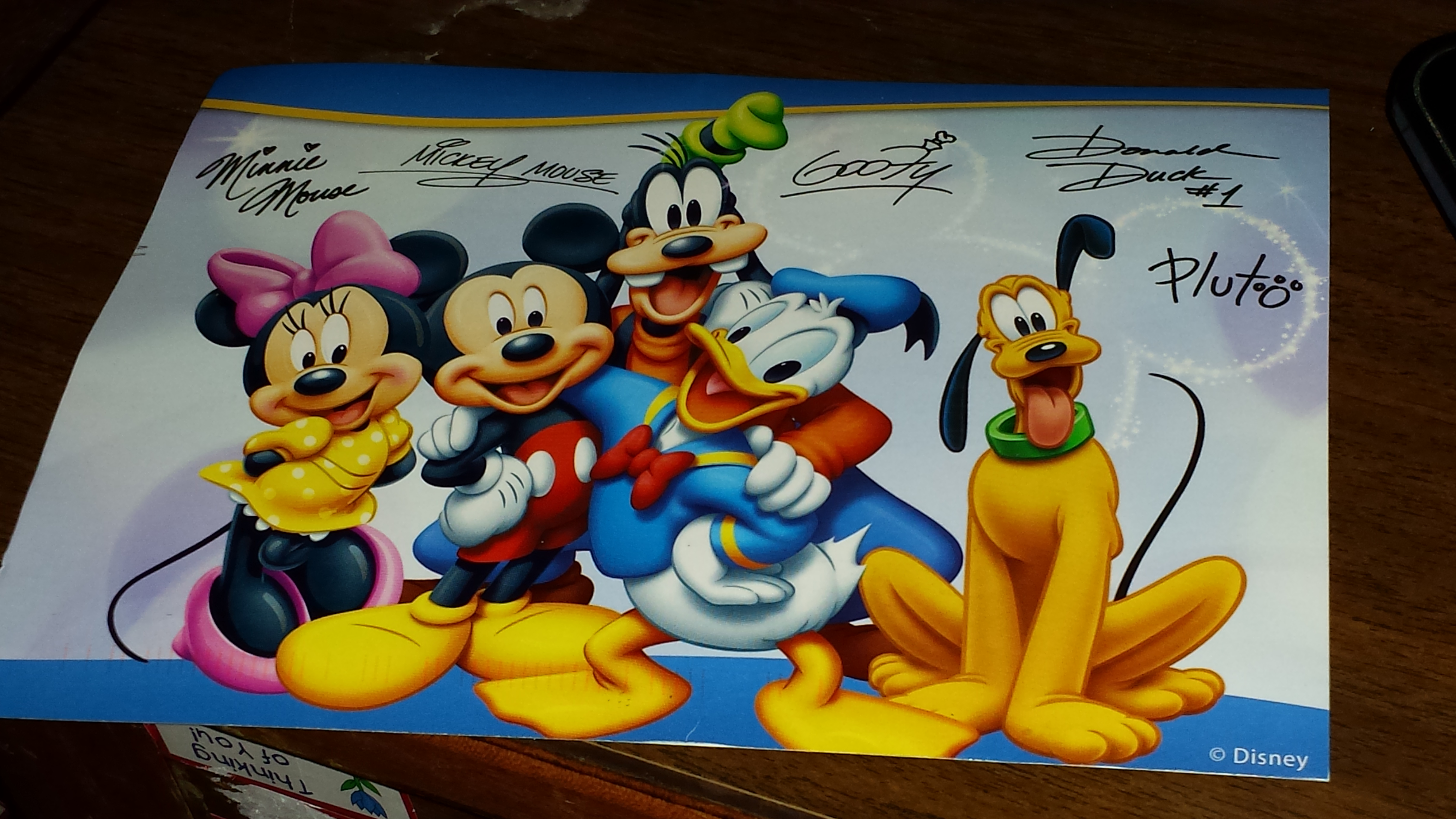 Mickey Mouse and Friends Autograph Book - Disney Cruise Line