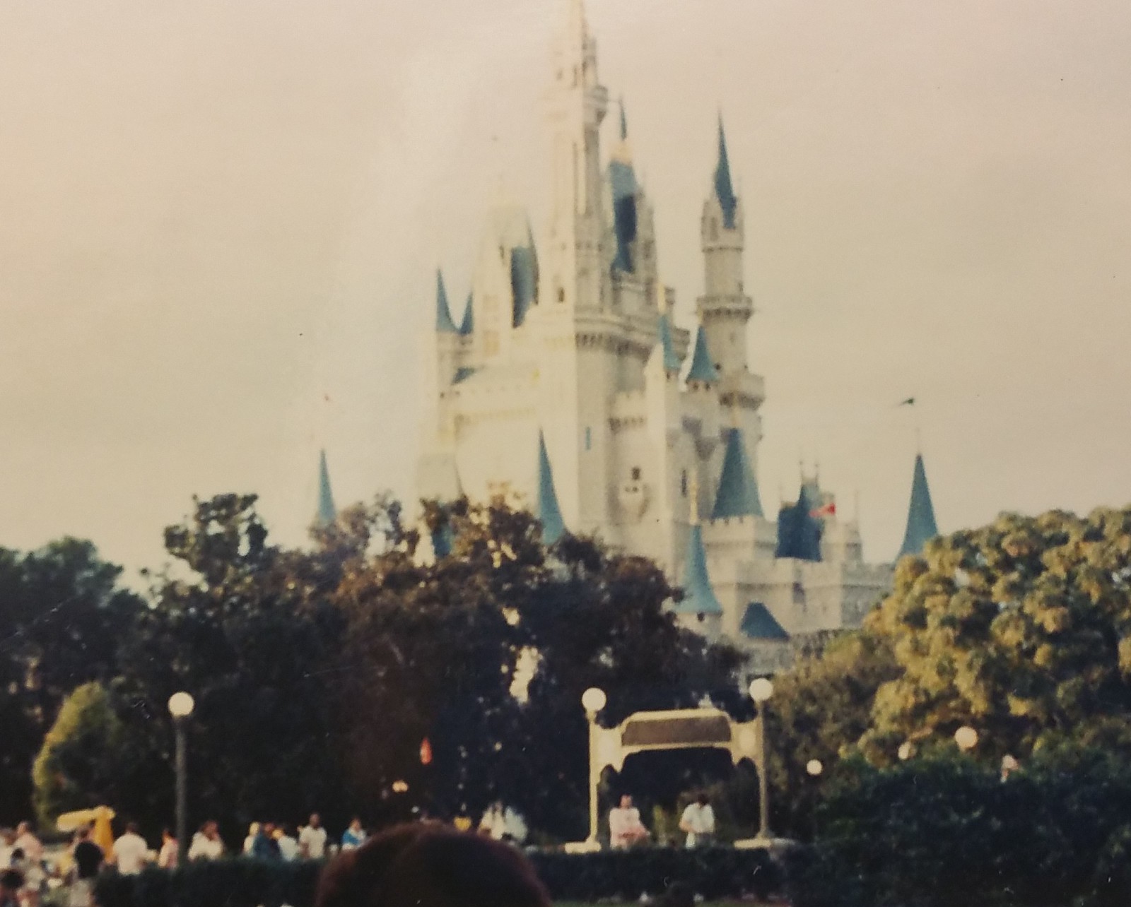 Throwback Thursday- Make a Magical Memory: The Reason I Love Disney World