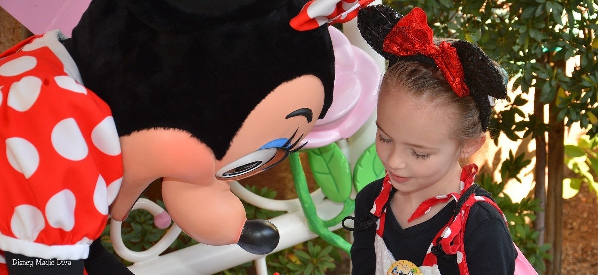 Disney Autograph Books- To Buy, or Not to Buy? - Tips from the Magical  Divas and Devos