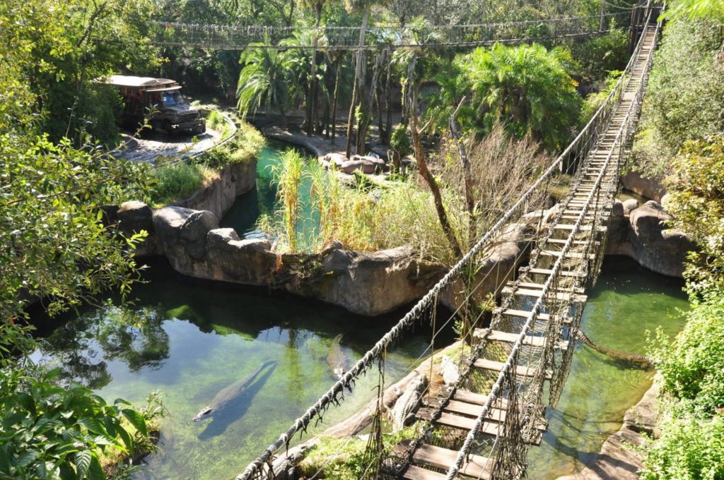 A Wild Trek through Disney's Animal Kingdom - Tips from the Disney ...